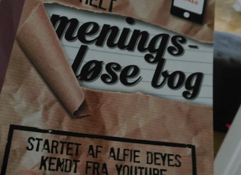 Den helt meningsløse bog