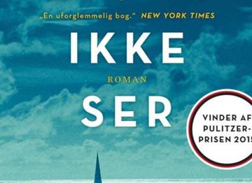 En bog, du ikke kan slippe: Alt det lys vi ikke ser