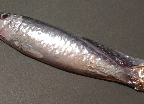 Har du styr på Omega 3 – 6 – 9?