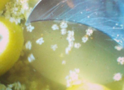 Hæld sommeren på glas – hyldeblomstsaft og hyldeblomsteddike