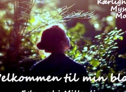 Krimifan? Læs de spændende uddrag og giv DIN feedback til forfatteren bag ny krimi/kvindebog