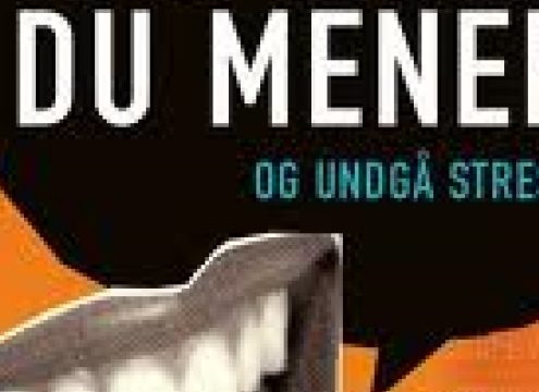 Sig din mening på den rigtige måde