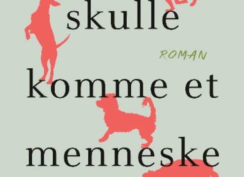 Stærk roman om livet i en underskudsfamilie