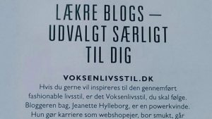 Udvalgt af Modemagasinet IN