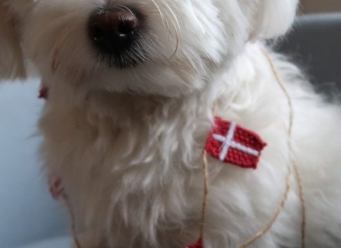 Viola 1 år – hip hip hurraaaaa!