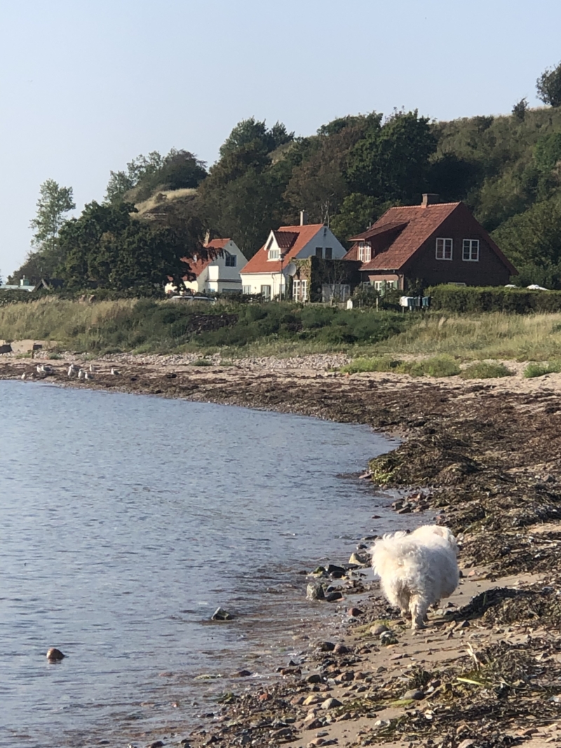 Hvens smukke natur