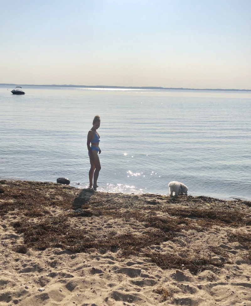 Stranden på Hven