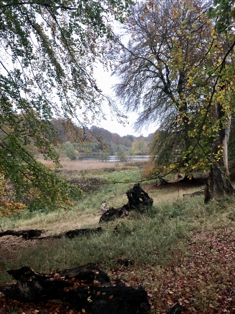Efterår i Dyrehaven