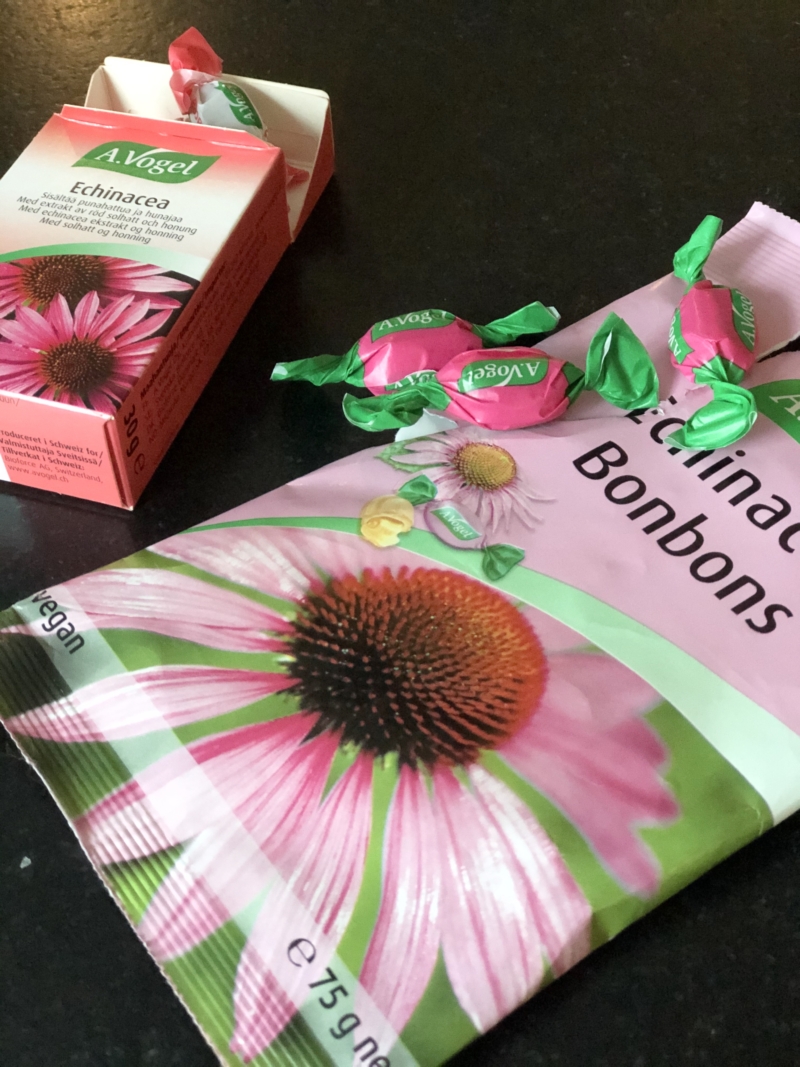 Echinacea bolcher