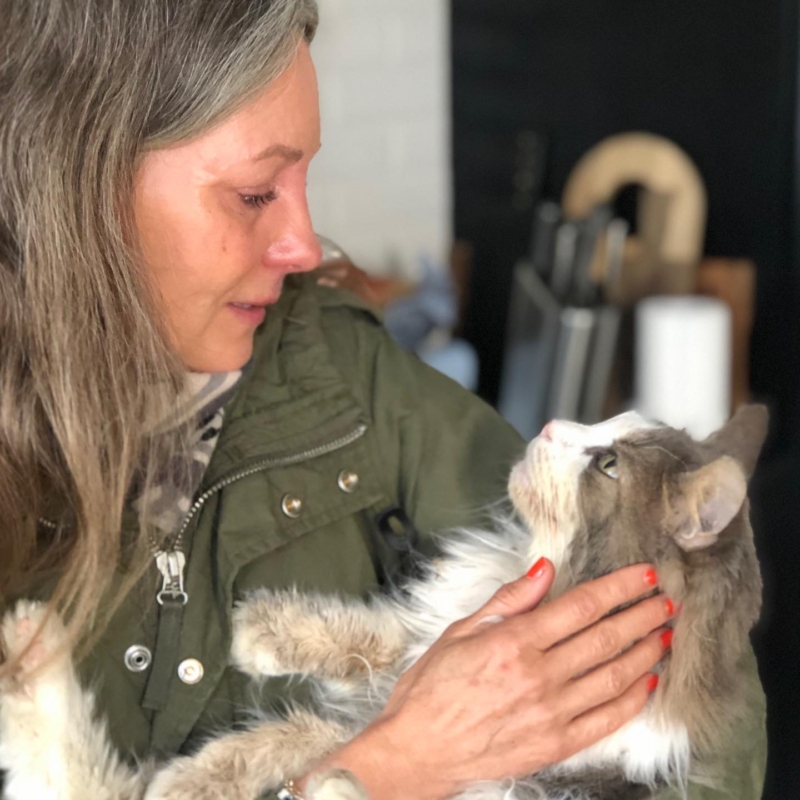 Afsked med kat