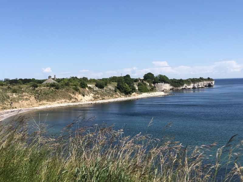 Stevns Klint