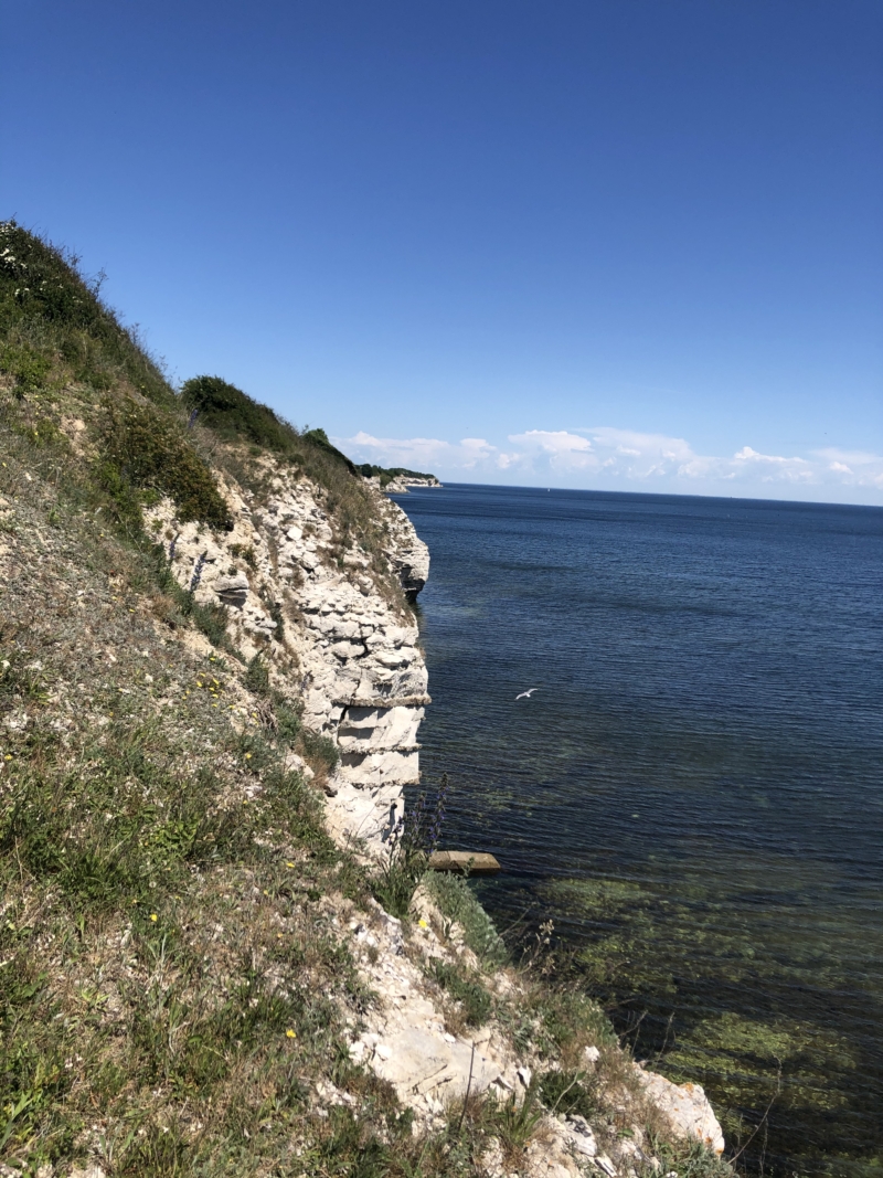 Stevns klint