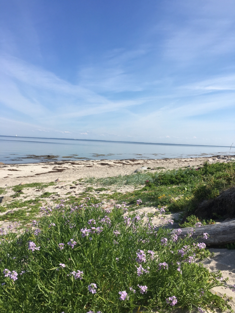 Naturen er enestående på Vejrø