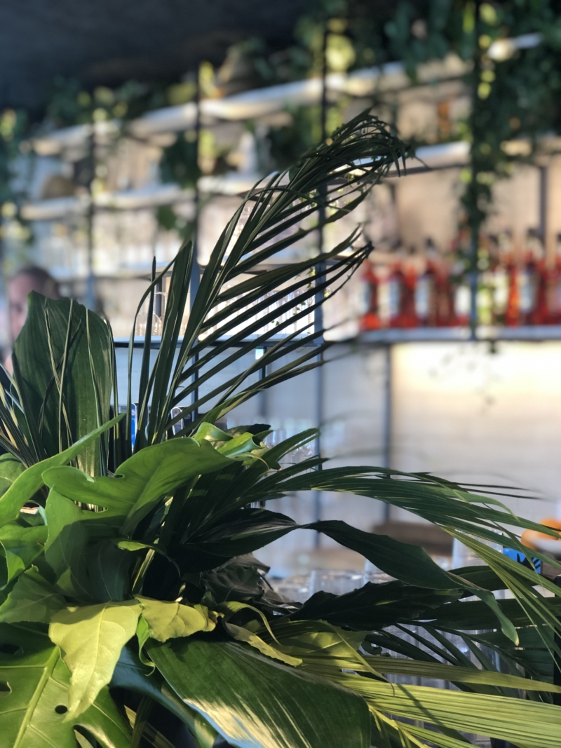 Rooftop bar på Skansen