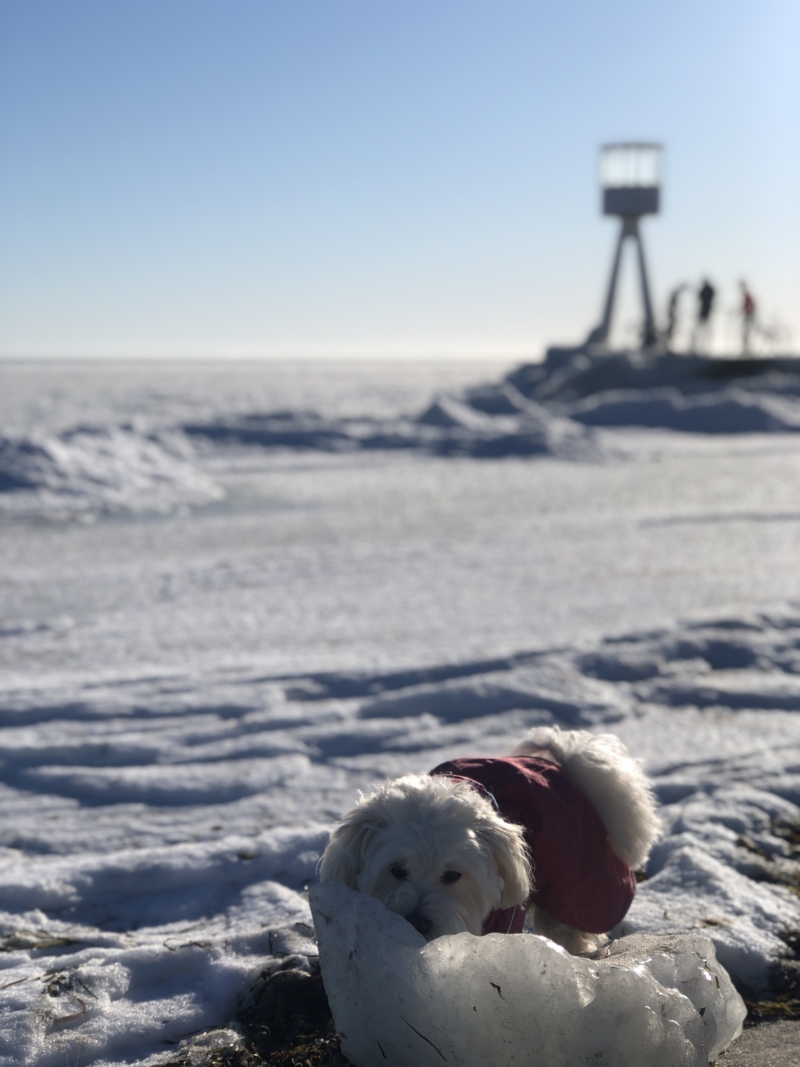 Is på Bellevue strand.
