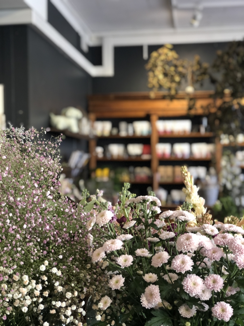 Der er både afskårne blomster og planter hos Gertruds!